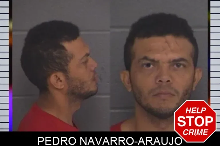 Pedro Navarro-Araujo