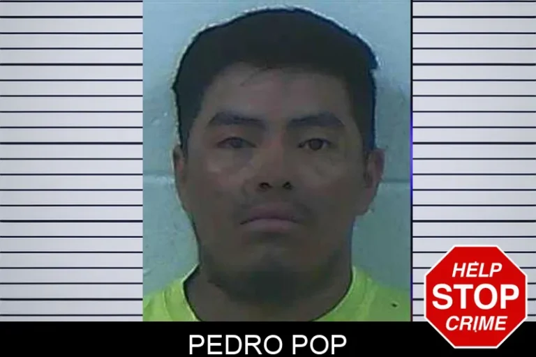 Pedro Pop