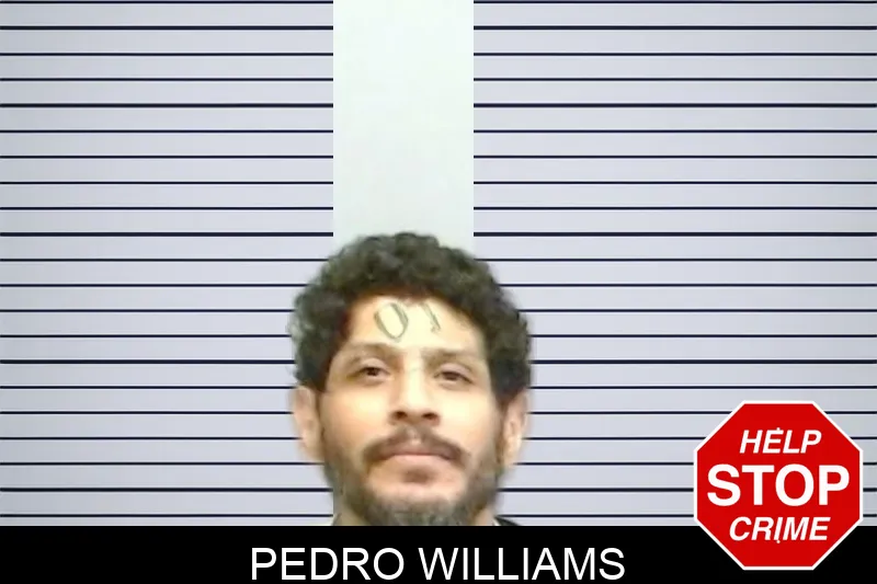 Pedro Williams mugshot – Fulton County , Georgia Pedro Williams mugshot
