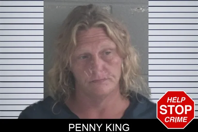 Penny King