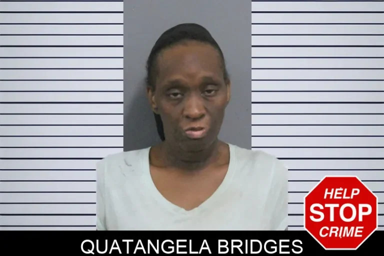 Quatangela Bridges mugshot – Catoosa County , Georgia Quatangela Bridges