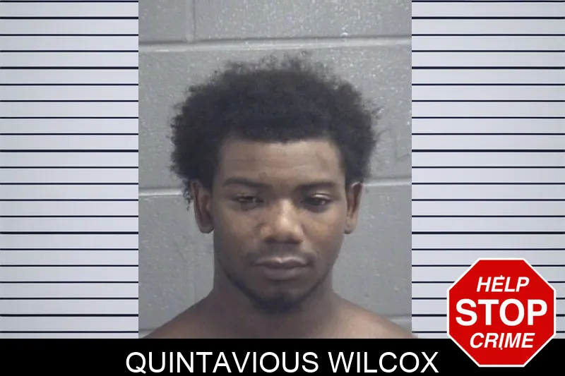 Quintavious Wilcox
