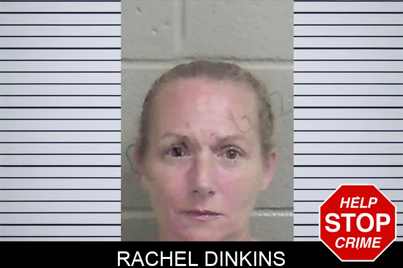 Rachel Dinkins Mugshots