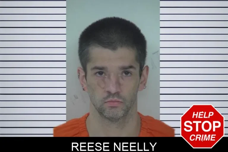 Reese Neelly mugshot – Fayette County , Georgia Reese Neelly
