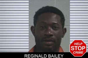 Reginald Bailey mugshot