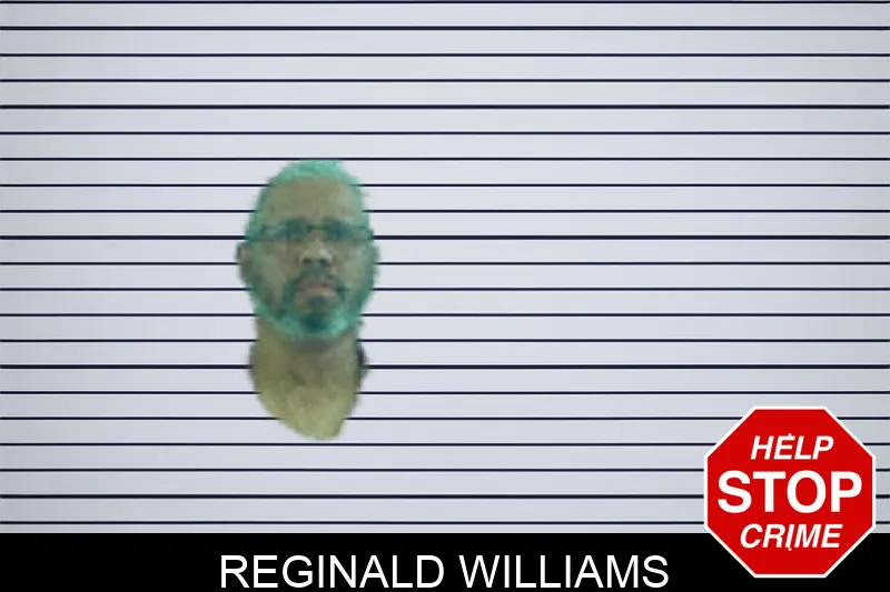 Reginald Williams Mugshots