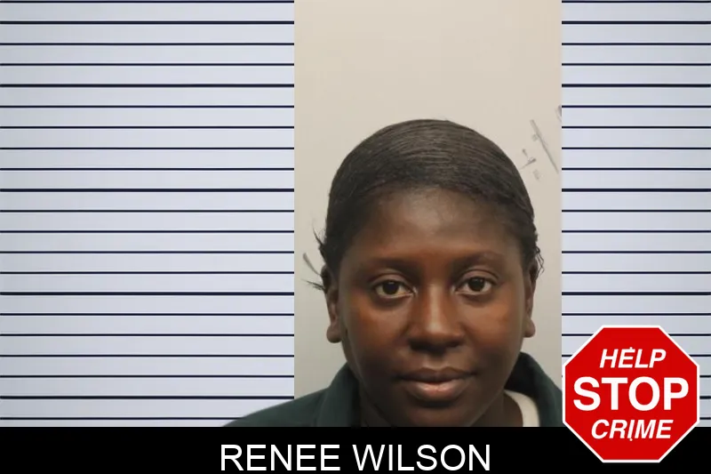 Renee Wilson mugshot – Chatham County , Georgia Renee Wilson mugshot