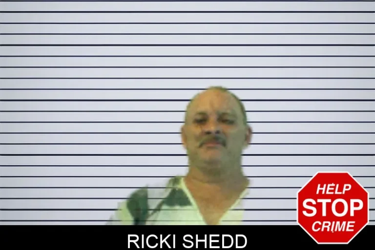 Ricki Shedd
