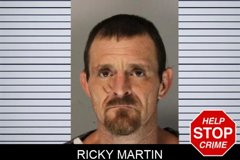 Ricky Martin mugshot – Hall County , Georgia Ricky Martin