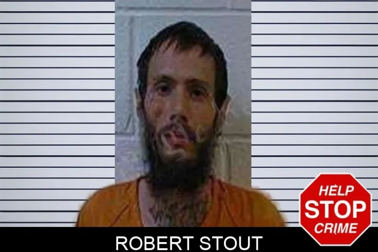 Robert Stout