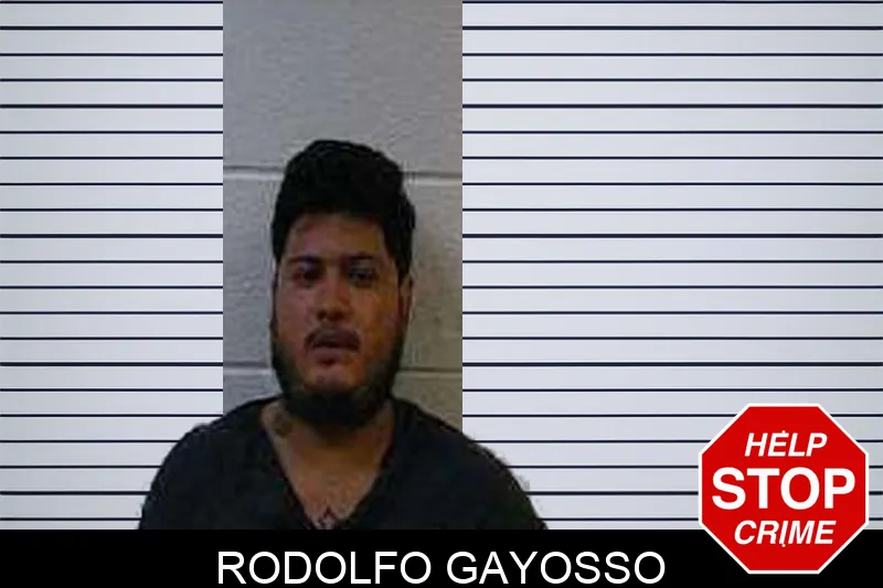 Rodolfo Gayosso