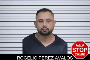 Rogelio Perez Avalos mugshot
