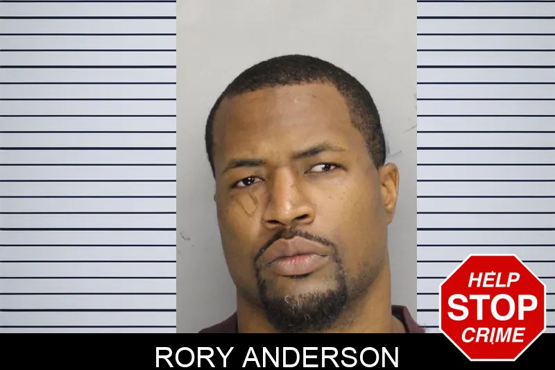 Rory Anderson mugshot