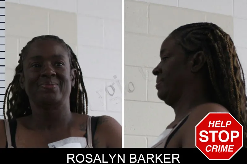 Rosalyn Barker mugshot – Houston County , Georgia Rosalyn Barker mugshot