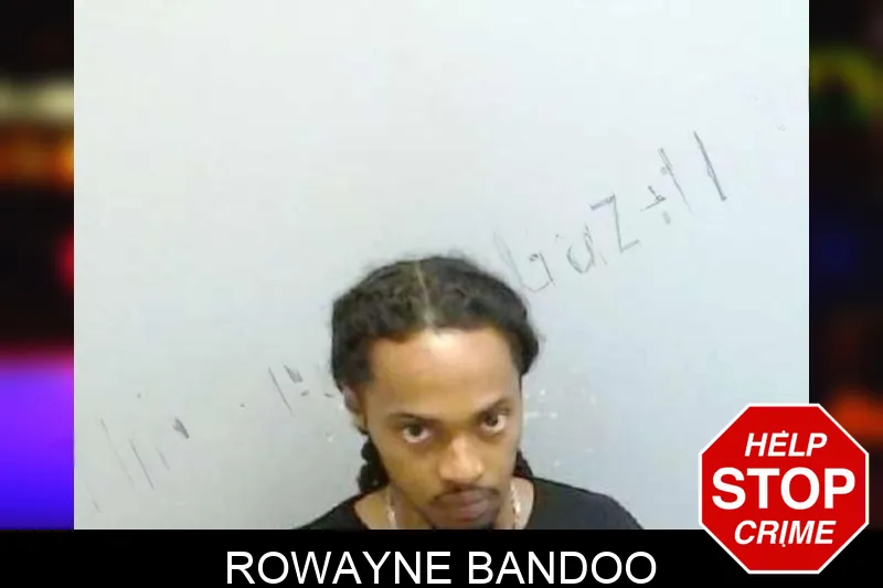 Rowayne Bandoo Mugshots