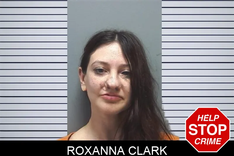 Roxanna Clark mugshot