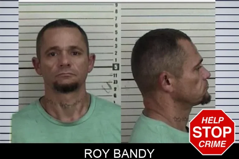 Roy Bandy