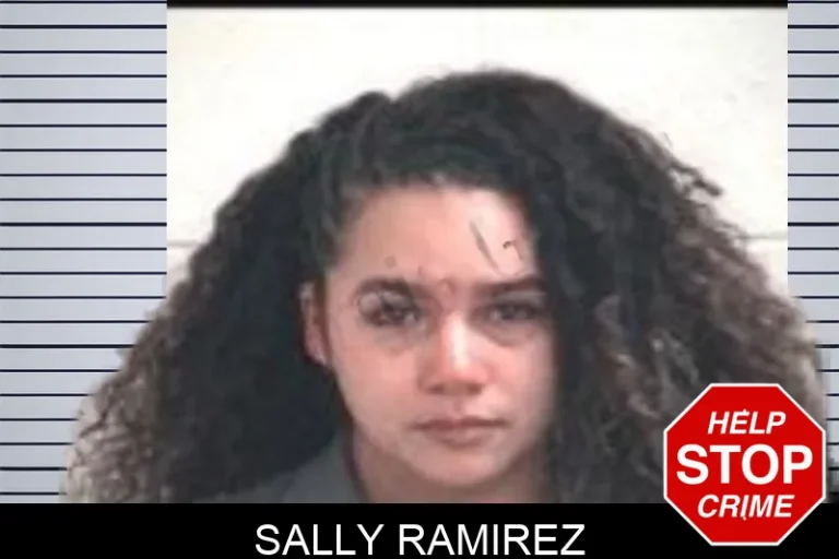 Sally Ramirez mugshot – Henry County , Georgia Sally Ramirez