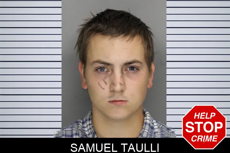 Samuel Taulli mugshot – Cobb County , Georgia Samuel Taulli mugshot