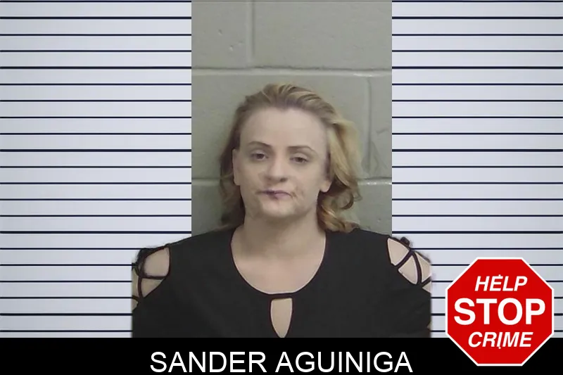 Sander Aguiniga Mugshots