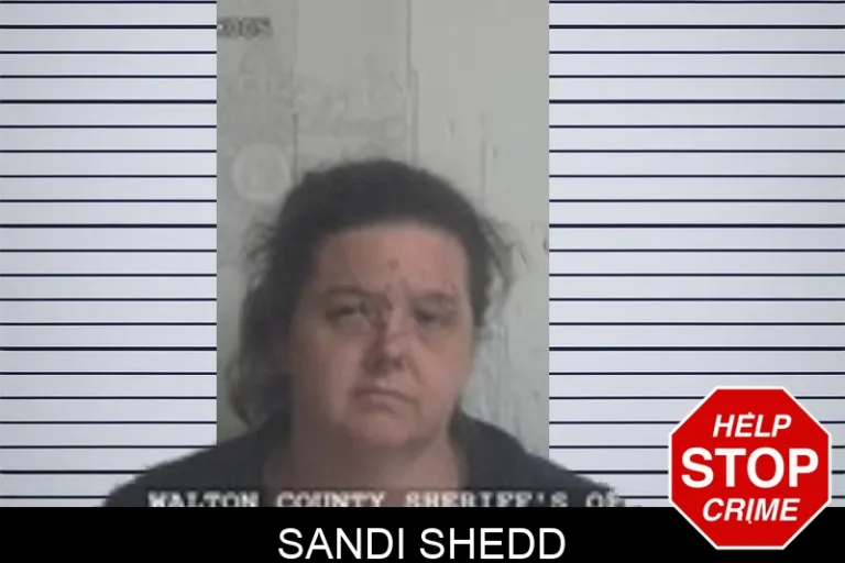 Sandi Shedd mugshot – Walton County , Georgia Sandi Shedd