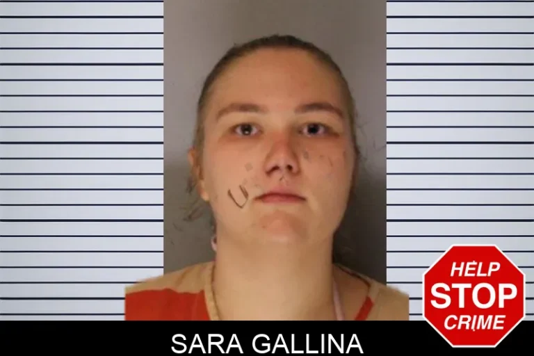 Sara Gallina