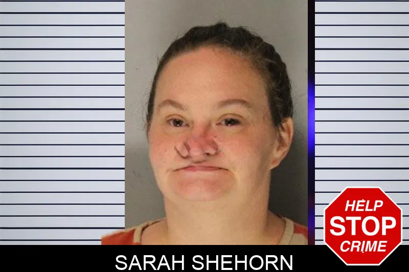 Sarah Shehorn mugshot – Hall County , Georgia Sarah Shehorn mugshot