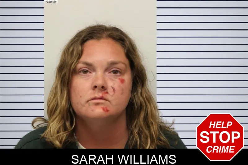 Sarah Williams mugshot – Chatham County , Georgia Sarah Williams mugshot