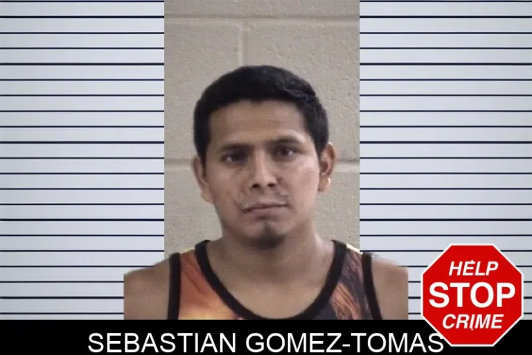 Sebastian Gomez-Tomas