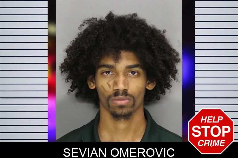 Sevian Omerovic mugshot – Cobb County , Georgia Sevian Omerovic mugshot