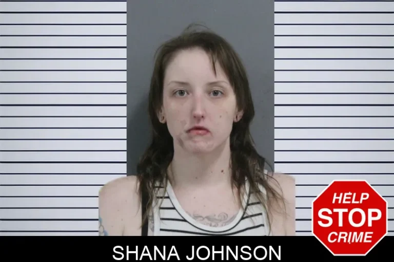 Shana Johnson mugshot – Catoosa County , Georgia Shana Johnson