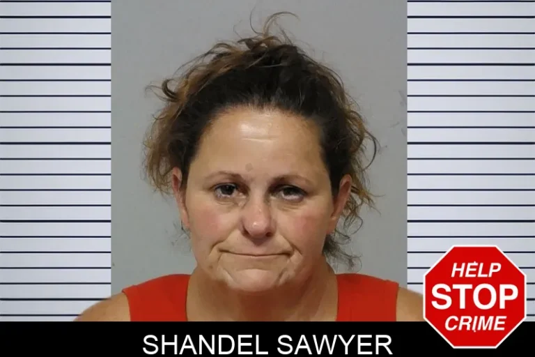 Shandel Sawyer mugshot β Bibb County , Georgia Shandel Sawyer