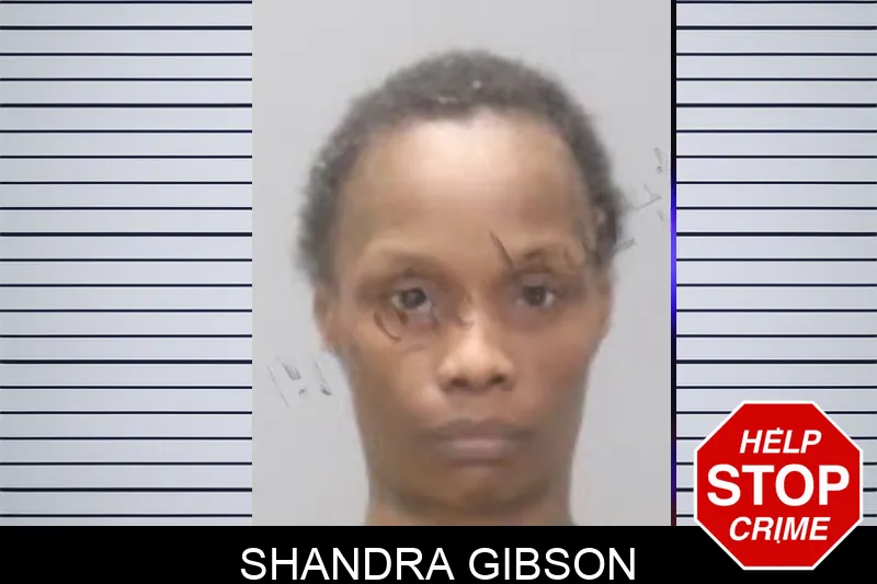 Shandra Gibson mugshot – Muscogee County , Georgia Shandra Gibson mugshot