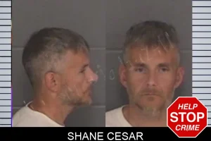 Shane Cesar mugshot