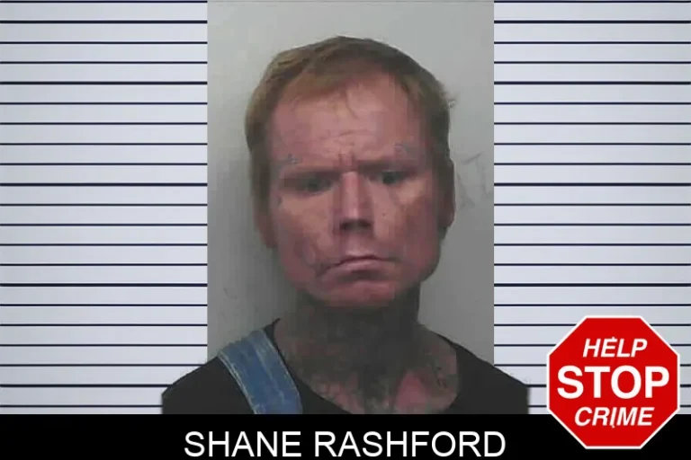 Shane Rashford
