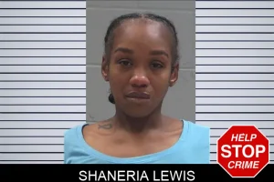 Shaneria Lewis mugshot