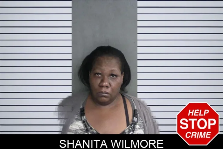 Shanita Wilmore mugshot – Twiggs County , Georgia Shanita Wilmore