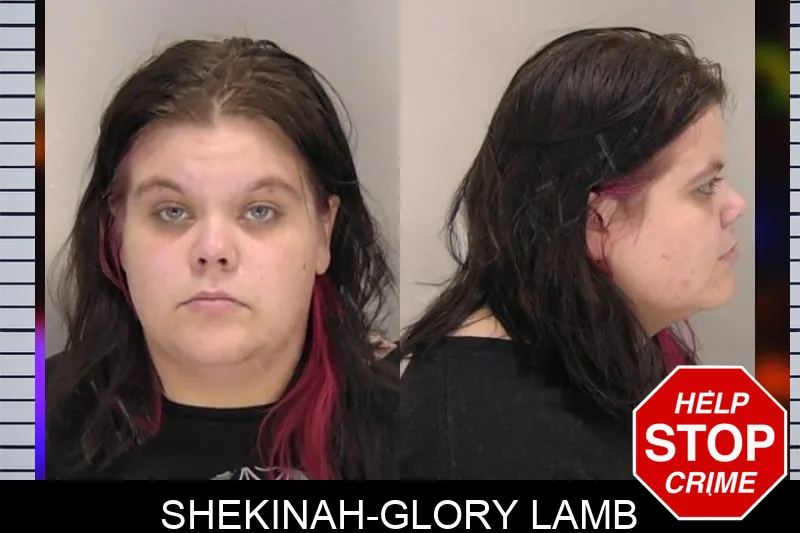 Shekinah-Glory Lamb Mugshots