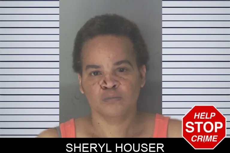 Sheryl Houser mugshot – Douglas County , Georgia Sheryl Houser