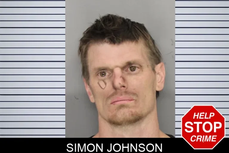 Simon Johnson