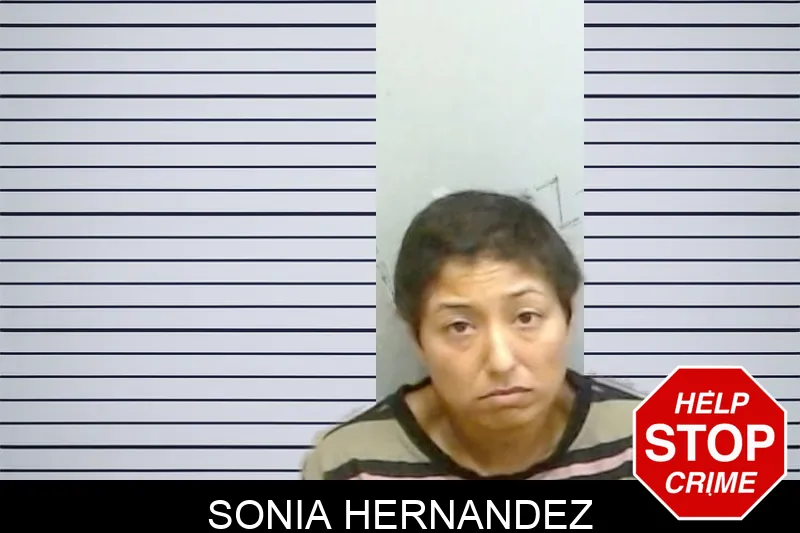Sonia Hernandez Mugshots
