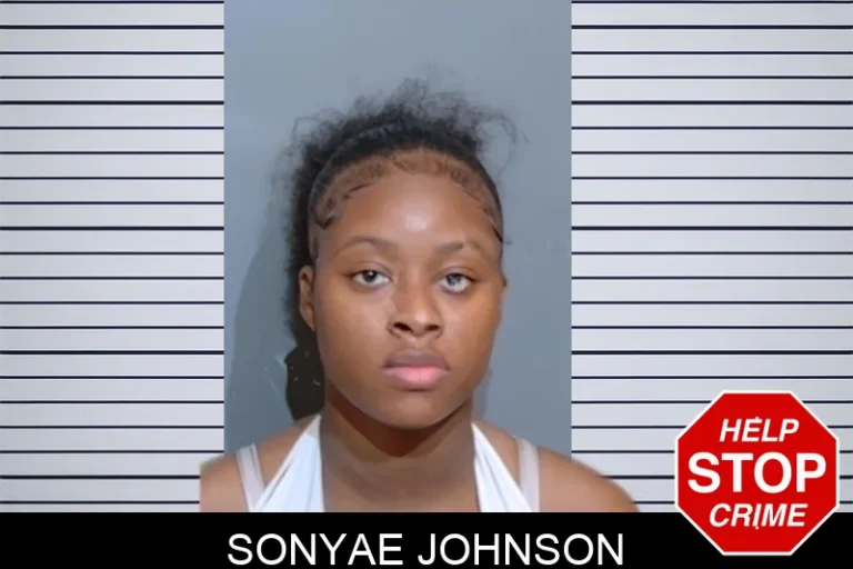 Sonyae Johnson mugshot – Glynn County , Georgia Sonyae Johnson