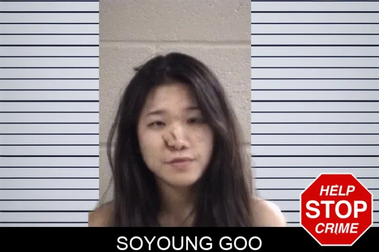 Soyoung Goo mugshot – Whitfield County , Georgia Soyoung Goo