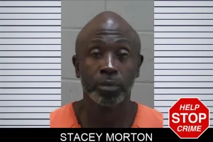 Stacey Morton mugshot