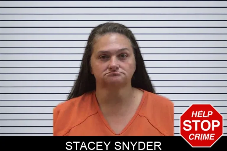 Stacey Snyder mugshot – Madison County , Georgia Stacey Snyder