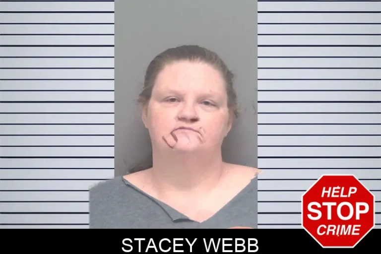 Stacey Webb