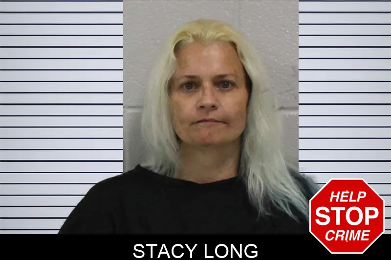 Stacy Long mugshot – Carroll County , Georgia Stacy Long mugshot