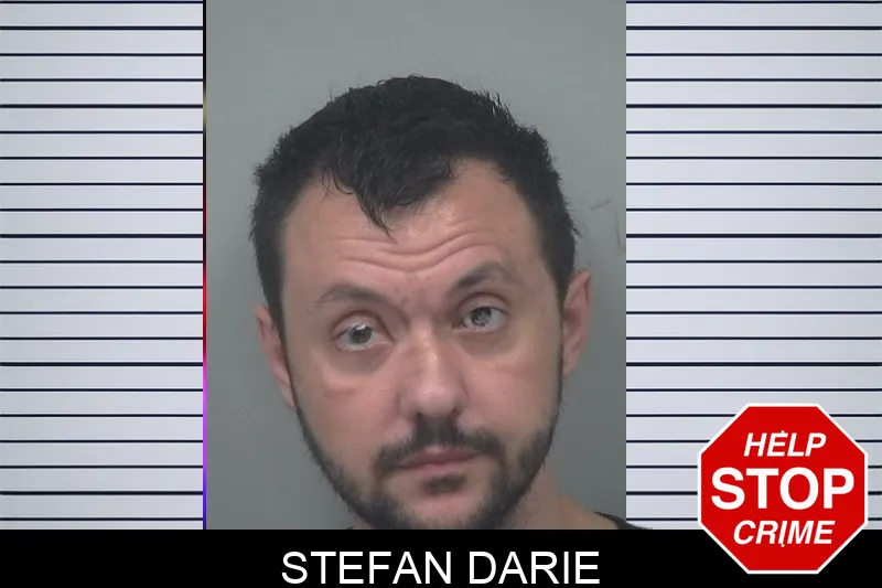 Stefan Darie Mugshots