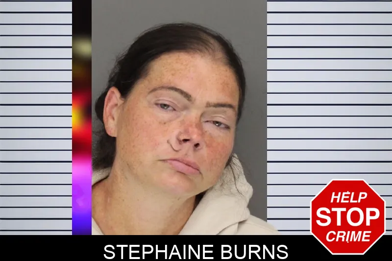 Stephaine Burns mugshot – Cobb County , Georgia Stephaine Burns mugshot