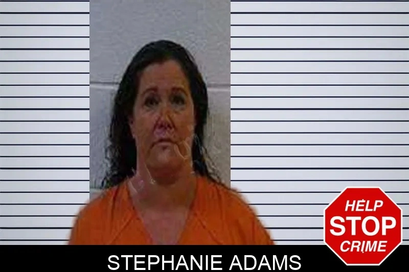 Stephanie Adams mugshot